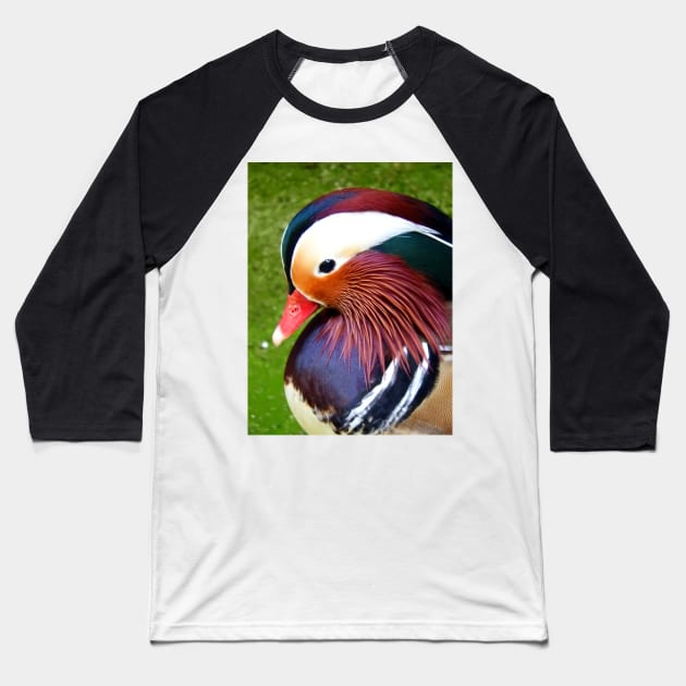 Mandarin Duck Baseball T-Shirt by kirstybush